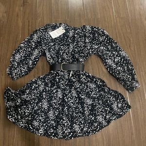 Zara poplin dress